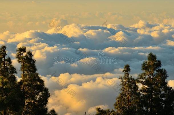 加那利群岛格兰山上的云景
