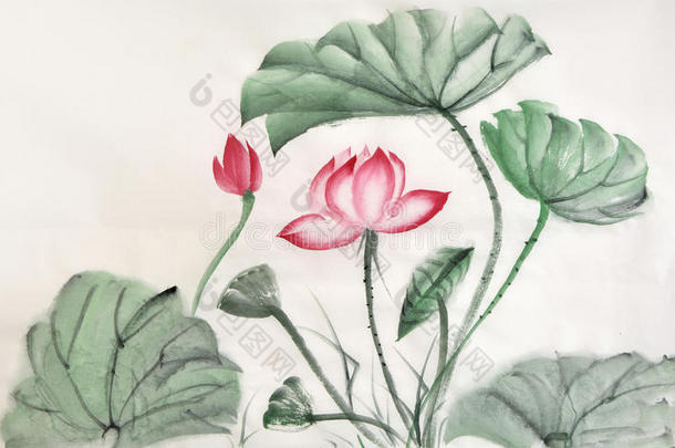 <strong>荷花水彩画</strong>