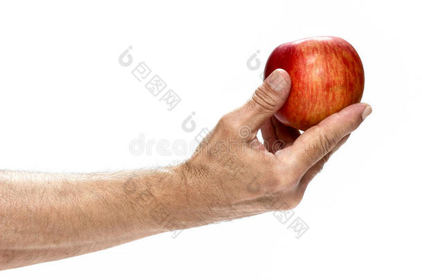 <strong>新鲜</strong>的<strong>红苹果</strong>在美丽的手孤立在白色的背景。