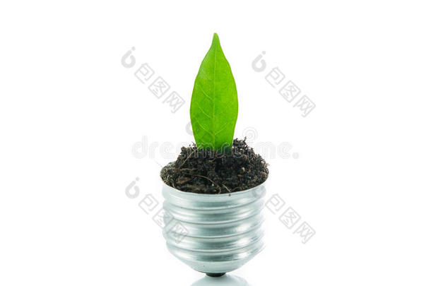 绿色植物新生命灯管出一个灯泡，绿色能源概念