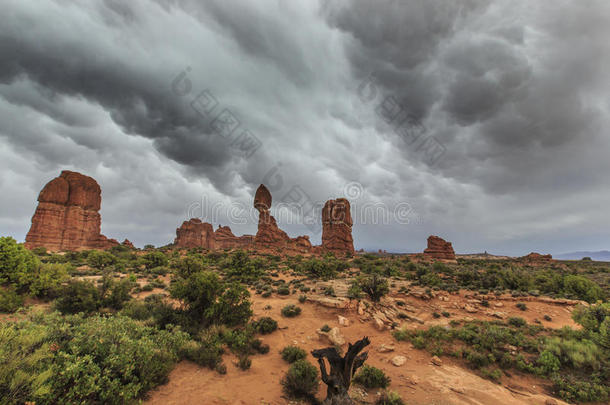 美国沙漠中的风暴、暴雨和<strong>山洪</strong>暴发