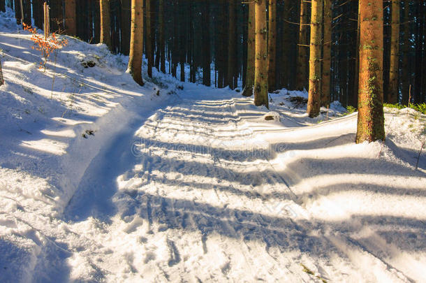 积极的冒险背景美丽的暴风雪