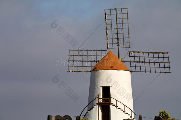 非洲兰扎罗特岛的仙人掌风车