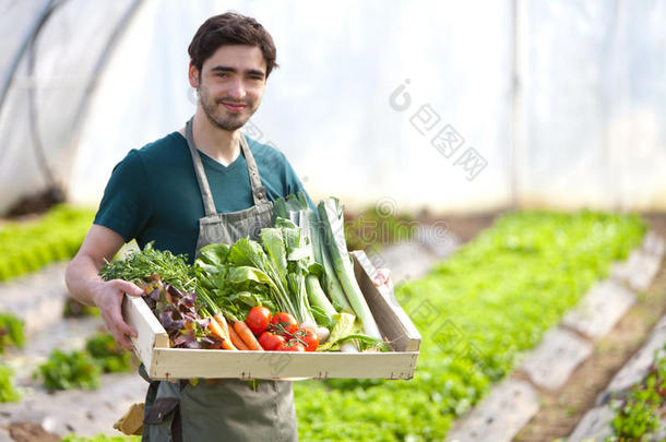 年轻快乐的农夫，满满一箱蔬菜