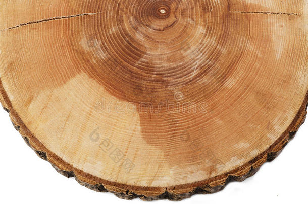 砍伐树木生长年轮