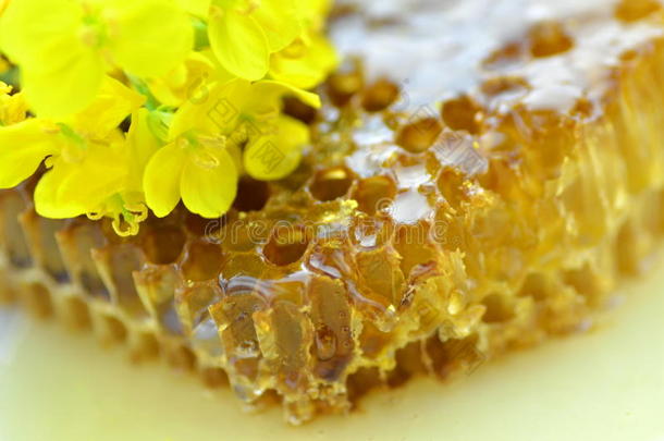 美味的蜂蜜，蜂巢，精致的油菜花