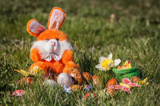 橙色兔子