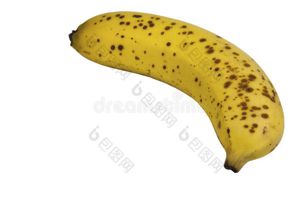 白底单熟黄香蕉