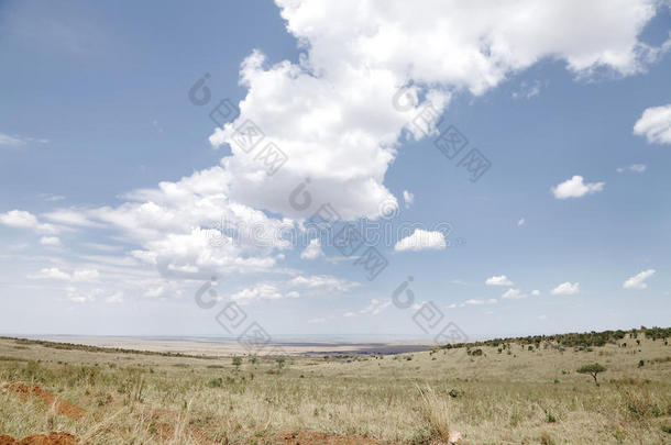 马赛马拉国家公园的草原和美丽的云朵