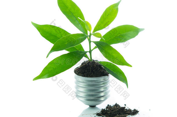 绿色植物新生命<strong>灯管</strong>出一个灯泡，绿色能源概念