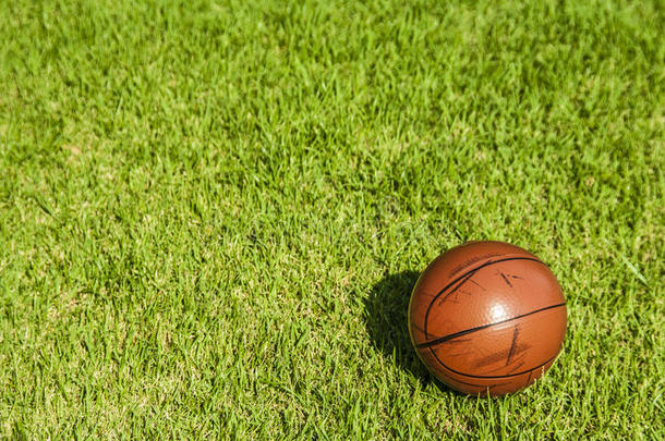 草地上肮脏的小篮球