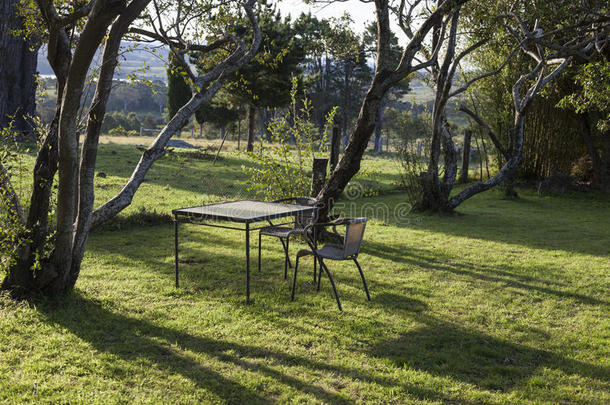 乡村别墅花园里的<strong>桌椅</strong>。宾吉。澳大利亚。