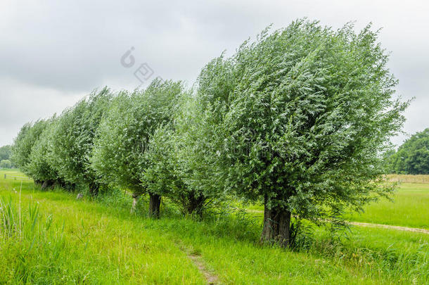 <strong>荷兰</strong>风景-巴恩-乌得勒支