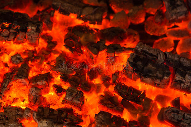 在炉子里烧木头