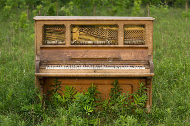 被遗弃的钢琴被<strong>遗忘</strong>在绿色的田野里