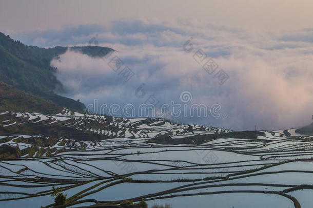 日出露台