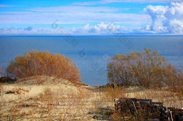 波罗的海沿岸的沙丘
