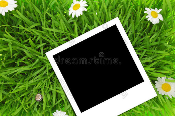绿草上的空白照片模板