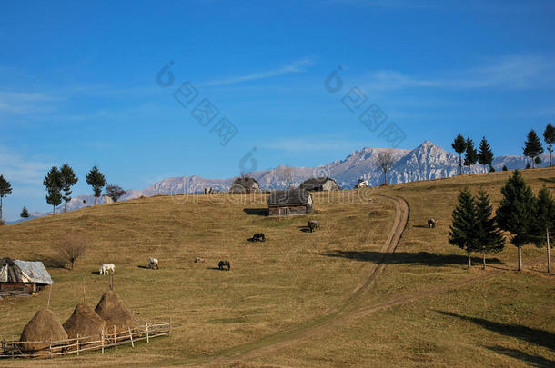 春天的风景。罗马尼亚喀尔巴阡山脉的美景