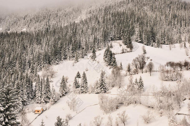 冬季景观。罗马尼亚喀尔巴阡山脉美丽的冬季景色