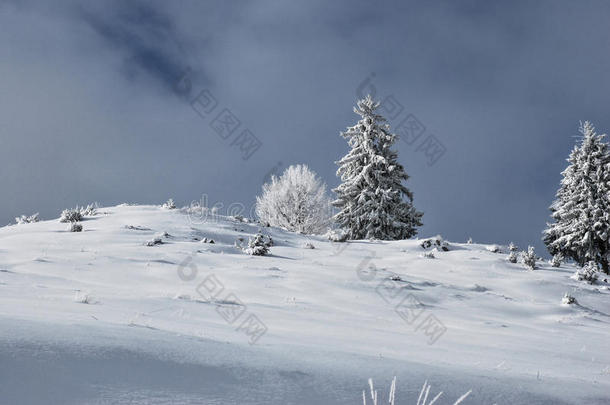冬季景观。罗马尼亚喀尔巴阡山脉美丽的冬季景色