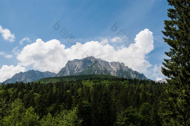 春天。山景观布斯特尼场景罗马尼亚喀尔巴阡山脉