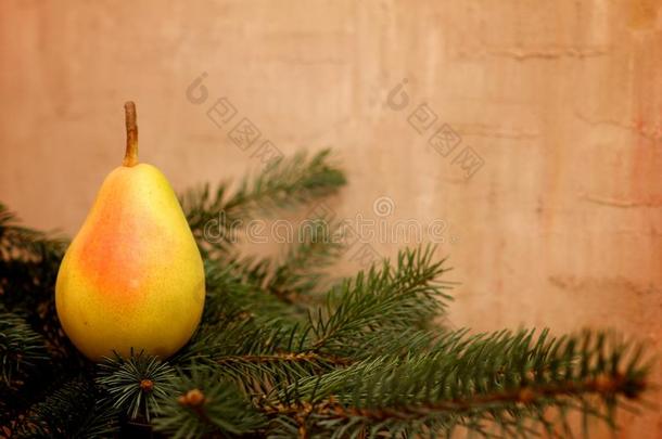 圣诞<strong>变身</strong>挂在树枝上的水果