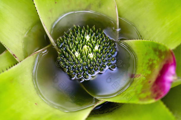 蓄水池。