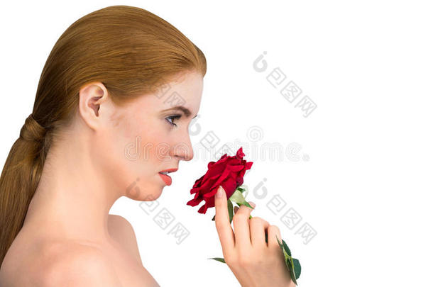自然之美摆出红玫瑰的姿态，闻着玫瑰的<strong>芬芳</strong>
