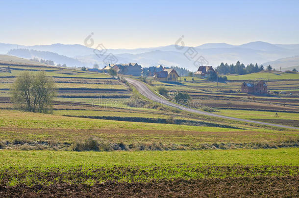 乡村景观村