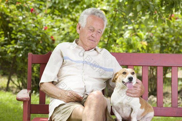 老人带着他的狗