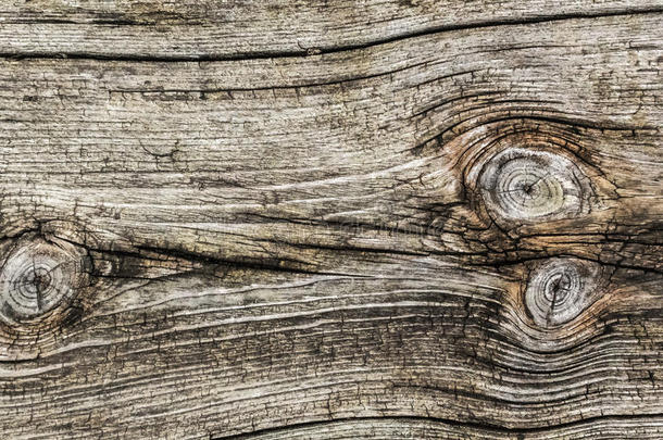 老风化腐烂开裂松木粗糙处理地板打结木板粗糙纹理-详图