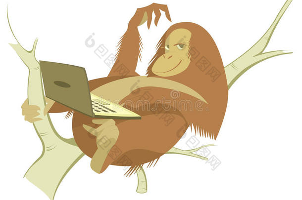 猴子和电脑