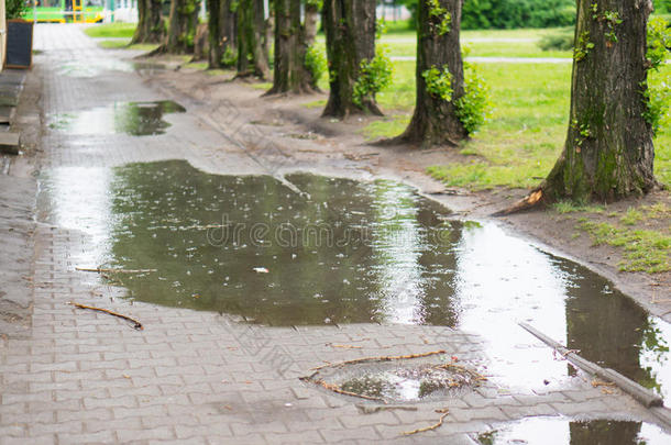 <strong>雨水</strong>坑