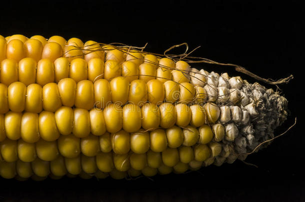 <strong>玉米</strong>、<strong>玉米</strong>棒、黄色、成熟、谷物、食品、健康、<strong>玉米</strong>
