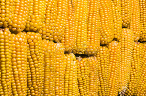 <strong>玉米</strong>、<strong>玉米</strong>棒、多头<strong>玉米</strong>、黄色、成熟、谷物、食品