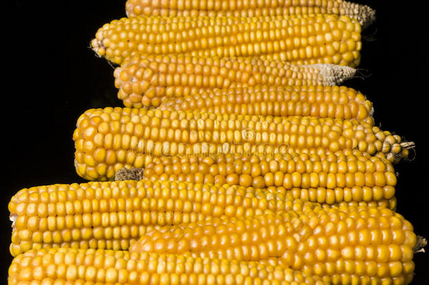 玉米、玉米棒、多头玉米、黄色、成熟、谷物、食品