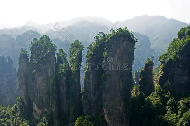 美丽的山