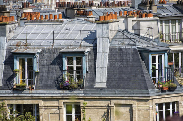 巴黎屋顶和城市景观