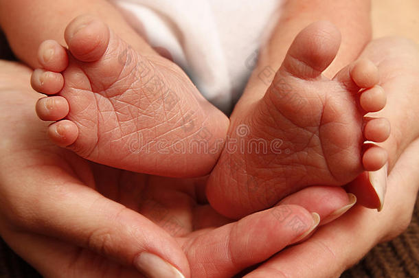 腿刚出生的小宝宝在妈妈手里