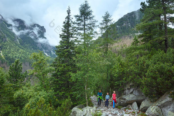 大寒谷夏季景观（高地塔特拉斯，斯洛伐克）。