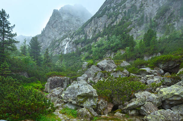 大寒谷夏季景观（高地塔特拉斯，斯洛伐克）。