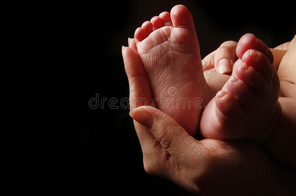 腿刚出生的小宝宝在妈妈手里