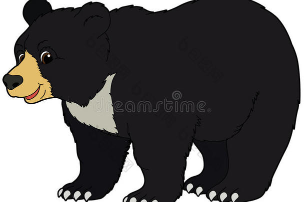 卡通动物-熊-扁平的颜色风格