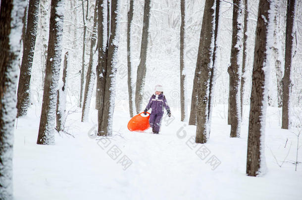 雪林里的<strong>好孩子</strong>