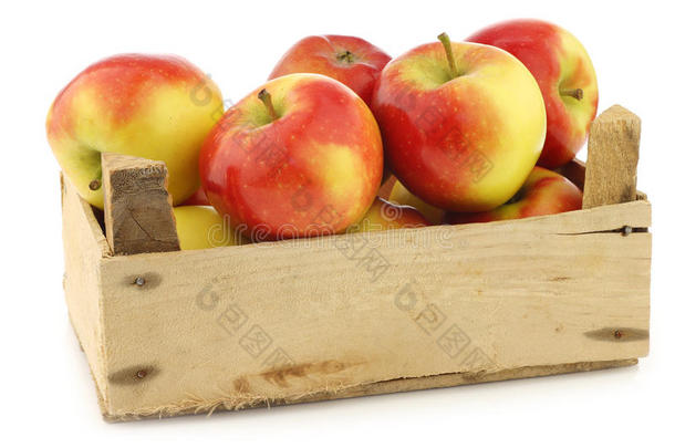 荷兰的一种苹果品种叫甘孜