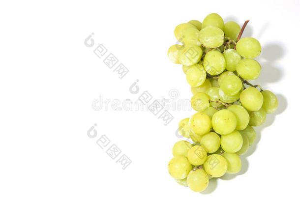 甜绿色葡萄藤上的无籽葡萄