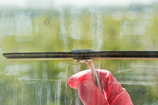 手戴粉红色手<strong>套用</strong>橡皮刷清洗窗户玻璃