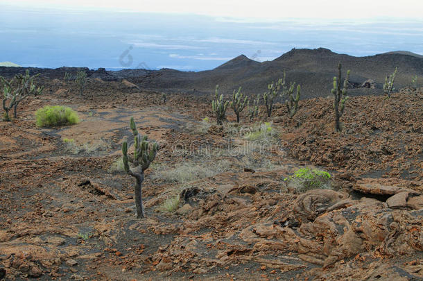 <strong>火山</strong>景观，内格拉<strong>山脉</strong>，加拉帕戈斯。