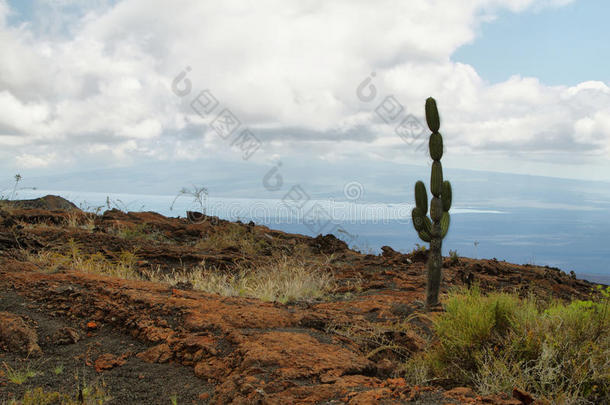 <strong>火山</strong>景观，内格拉<strong>山脉</strong>，加拉帕戈斯。